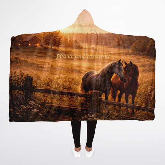 Power and restraint - Hooded Blanket