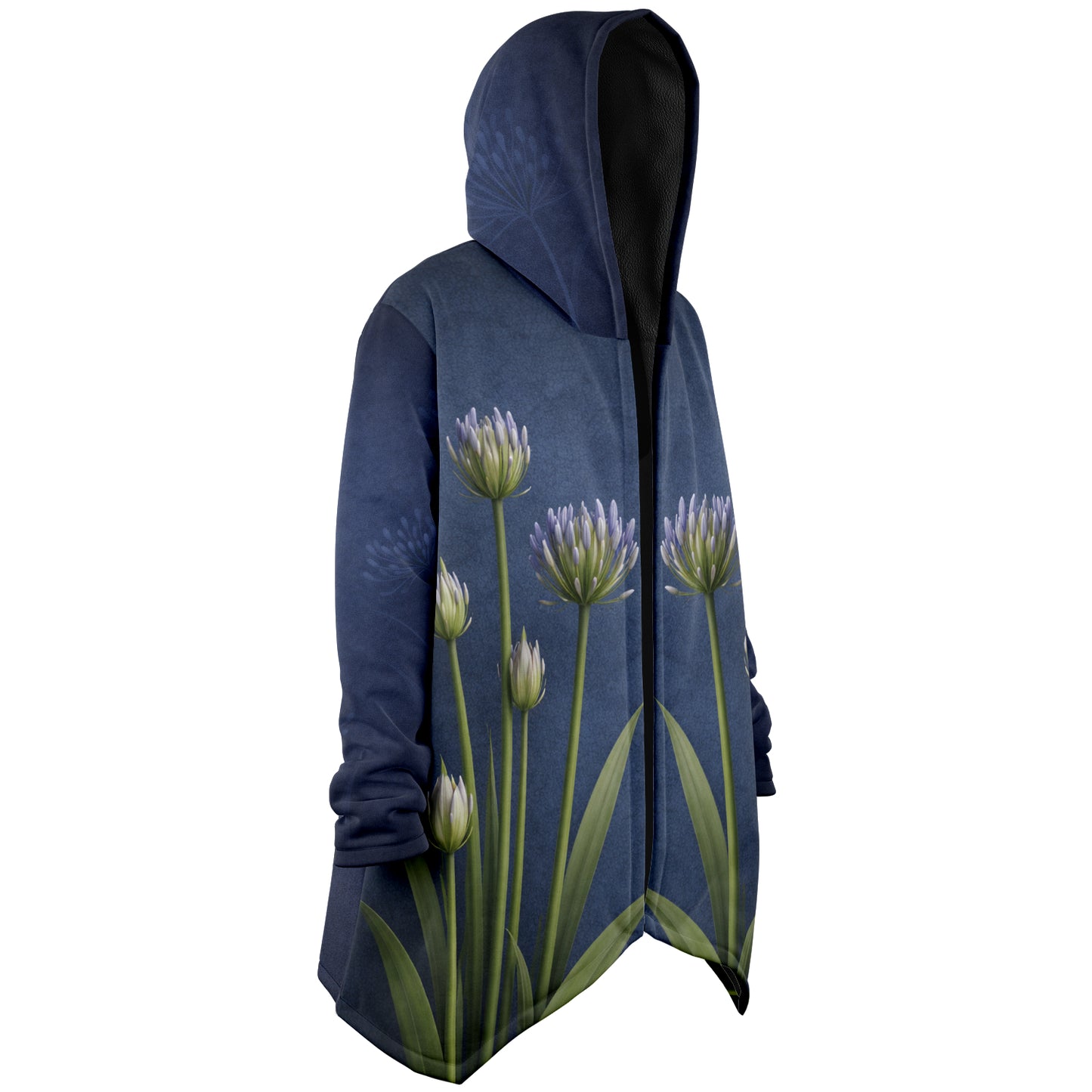Agapanthus (Lily of the Nile)
