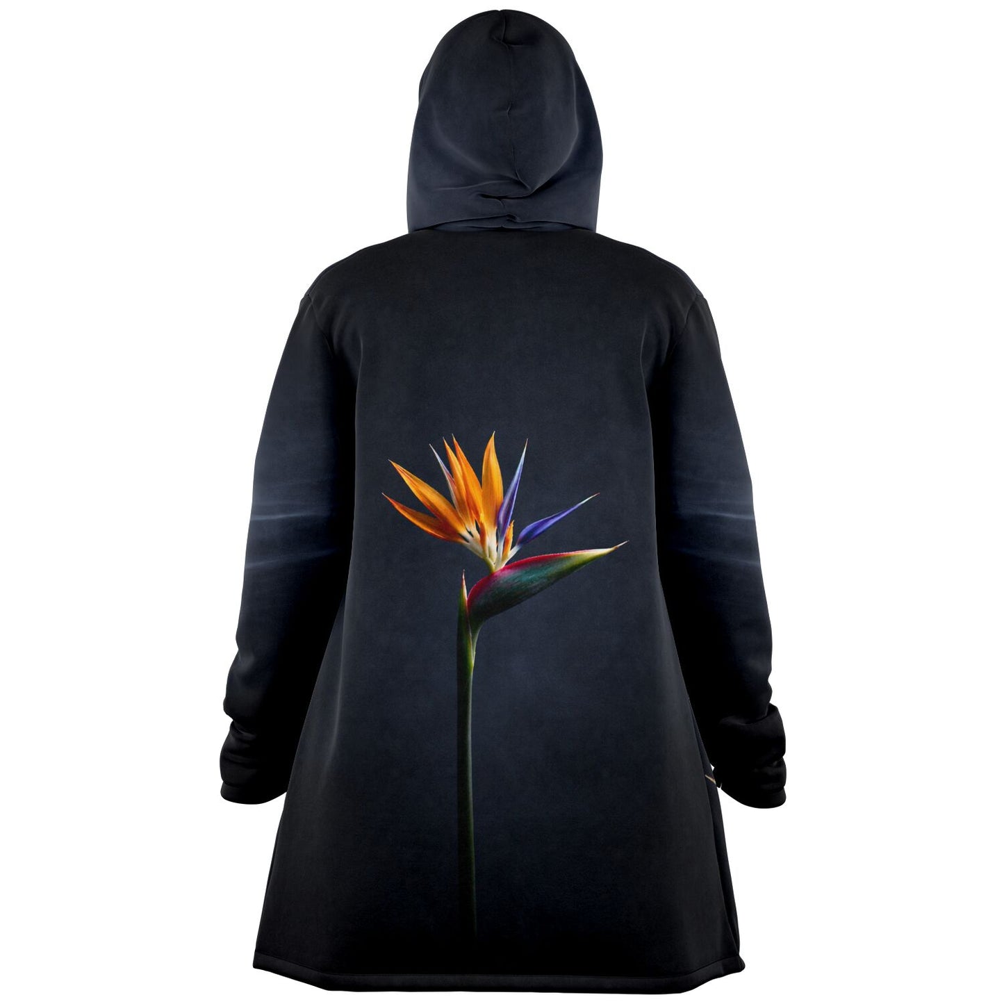 Bird of Paradise