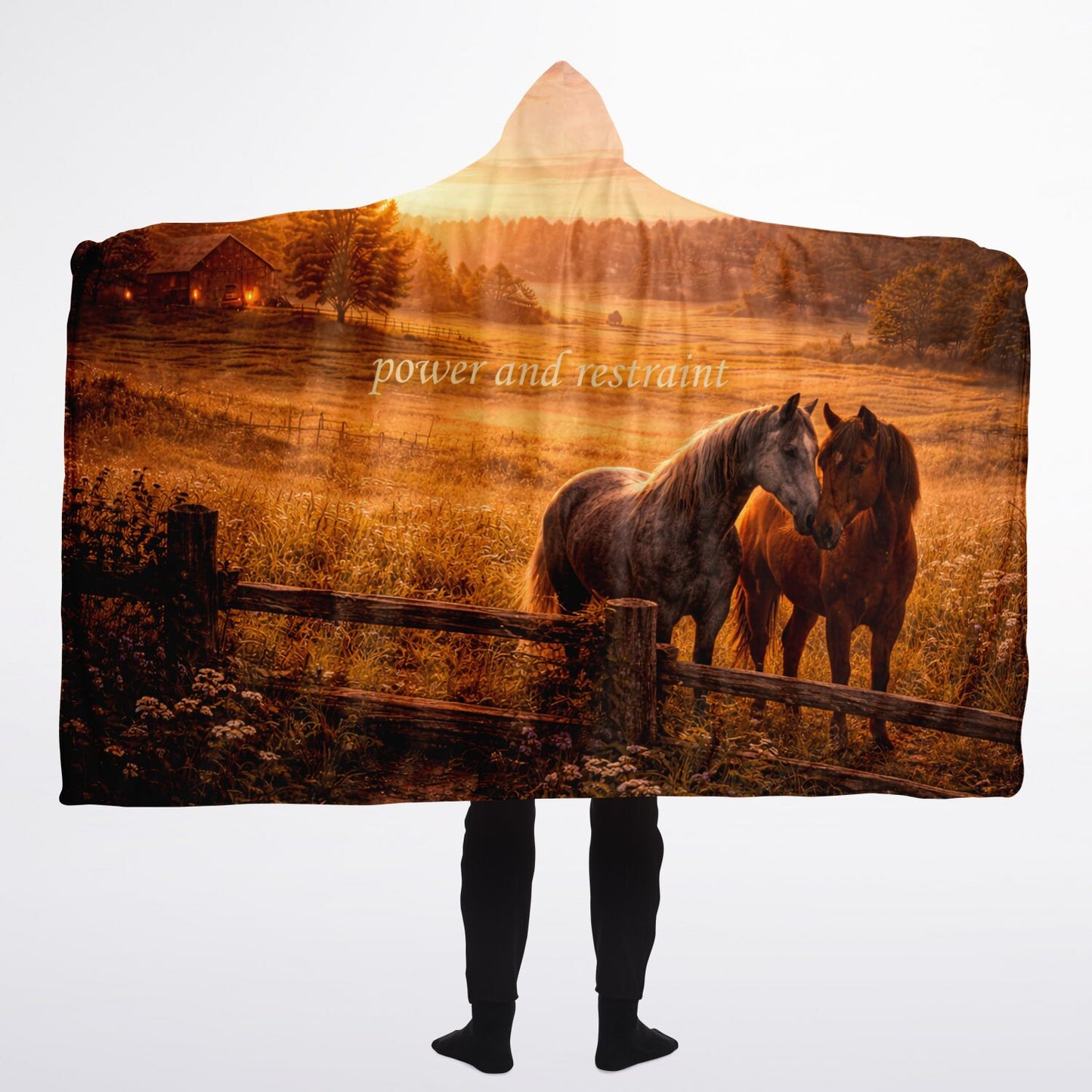 Power and restraint - Hooded Blanket